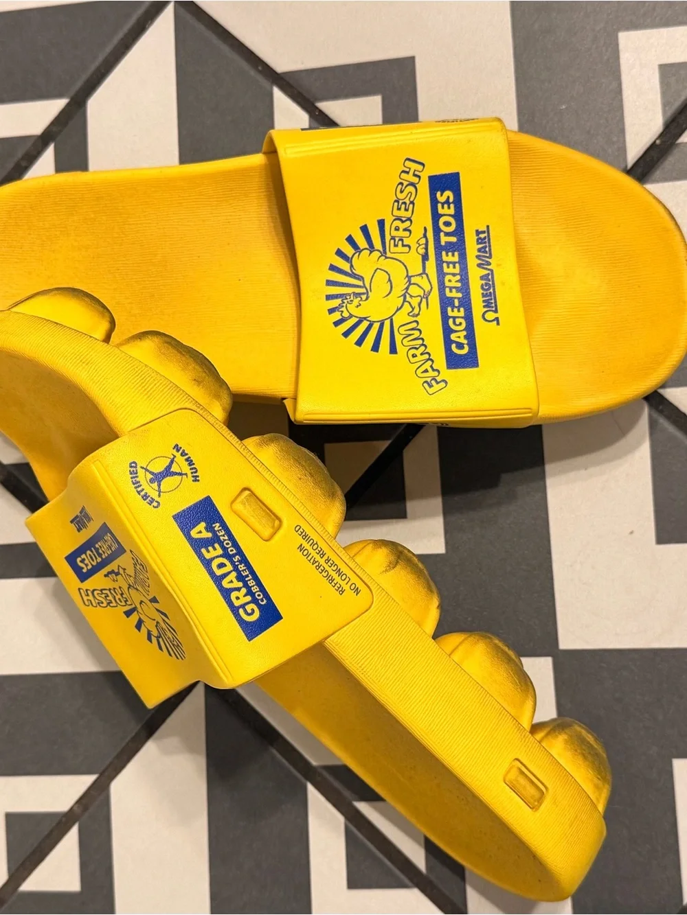 Meow Wolf Cage Free Egg Shoes